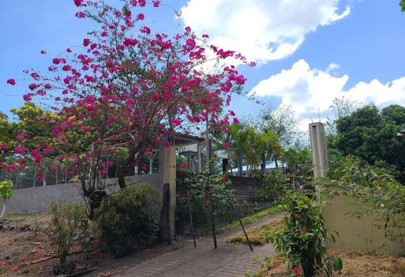 בית מלון כפרי Sophie House