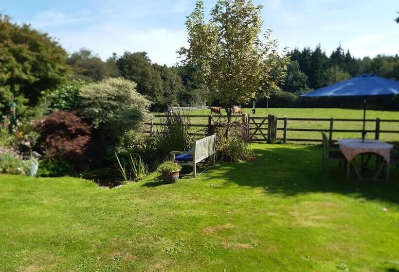 Bed and Breakfast Woodlands Cottage Farm