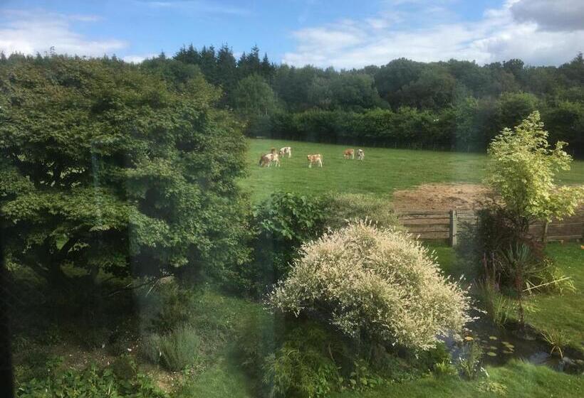 Bed and Breakfast Woodlands Cottage Farm