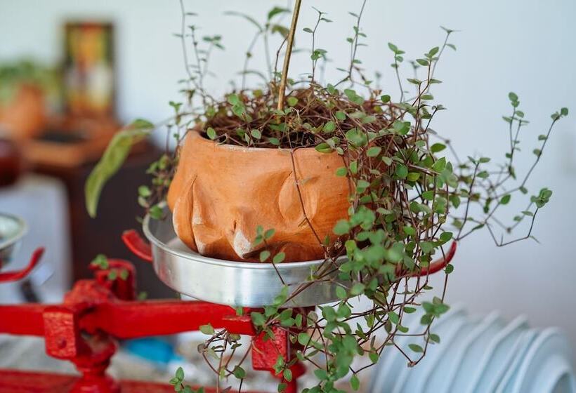 בית מלון כפרי Aqualtune Pousada