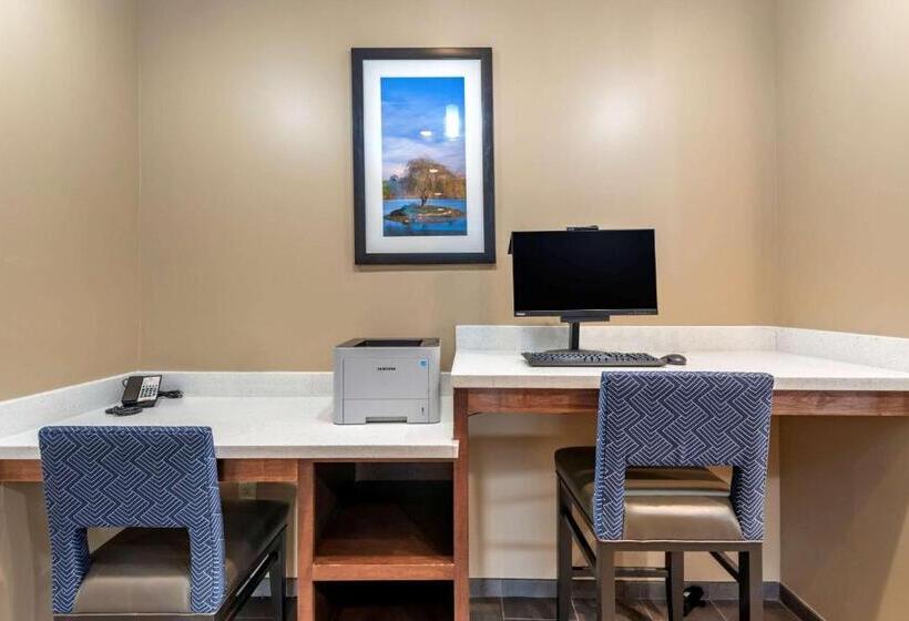 בית מלון כפרי Comfort Suites