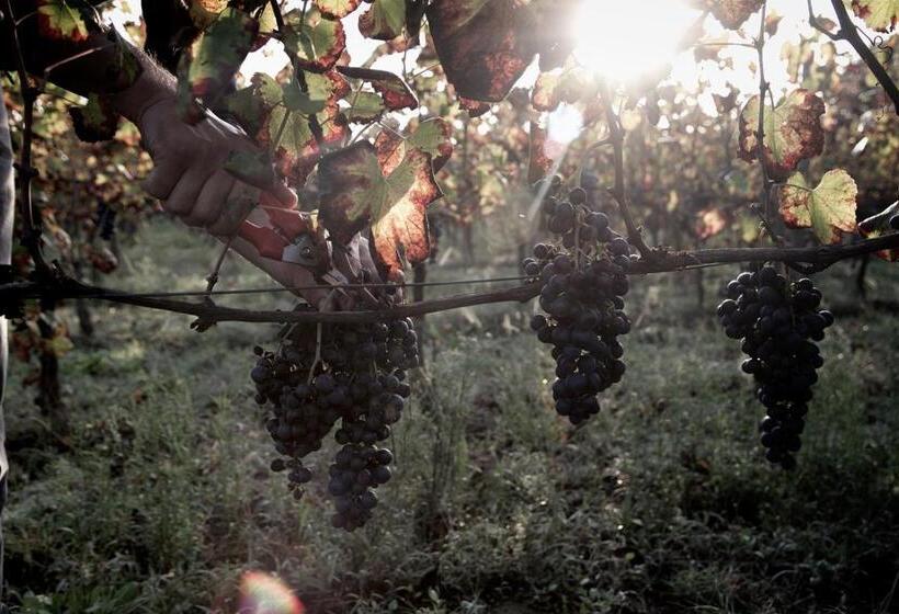 فندق I Cacciagalli Wine Resort