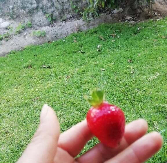 فندق Quilla Wasi