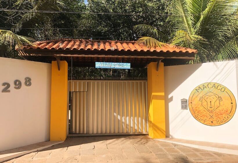 Macaco Surf Hostel