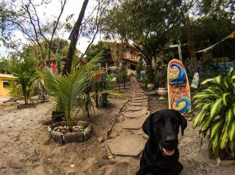 Macaco Surf Hostel