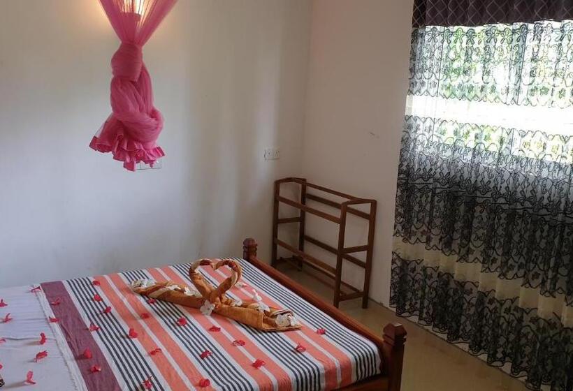 膳宿费 Emikio Mirissa