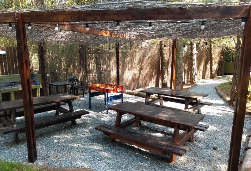 Sueño Pampa Apart Y Cabañas