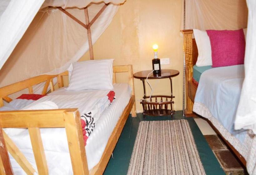 تختخواب و صبحانه Mondi Lodge Kisoro