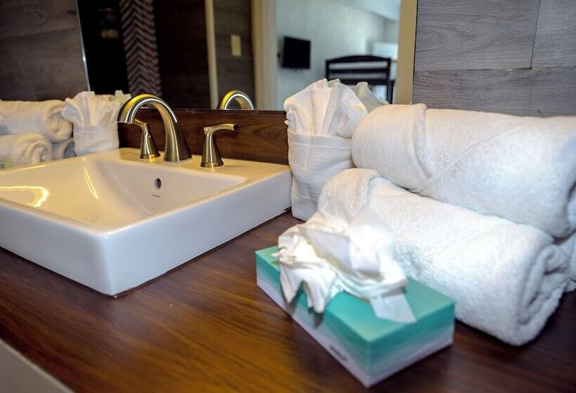 فندق Banana Peel Lodge