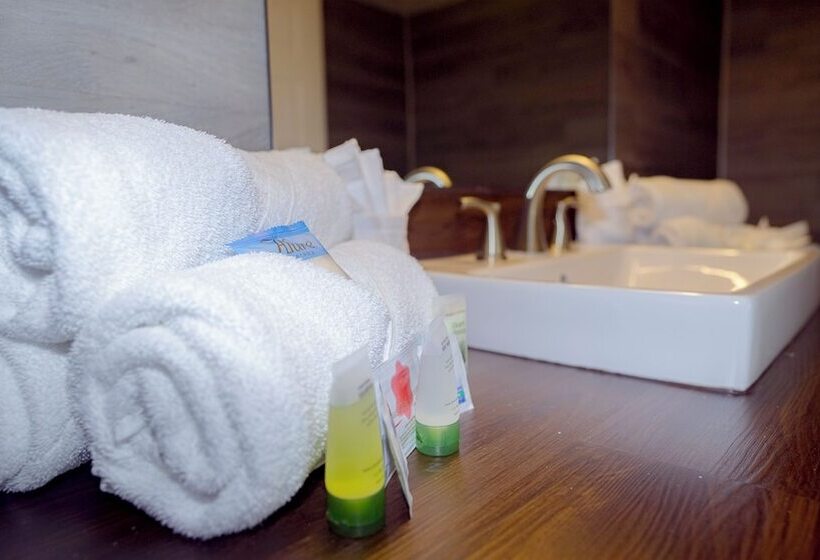 فندق Banana Peel Lodge