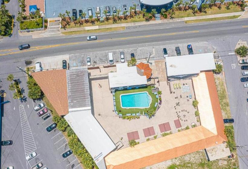 فندق Banana Peel Lodge