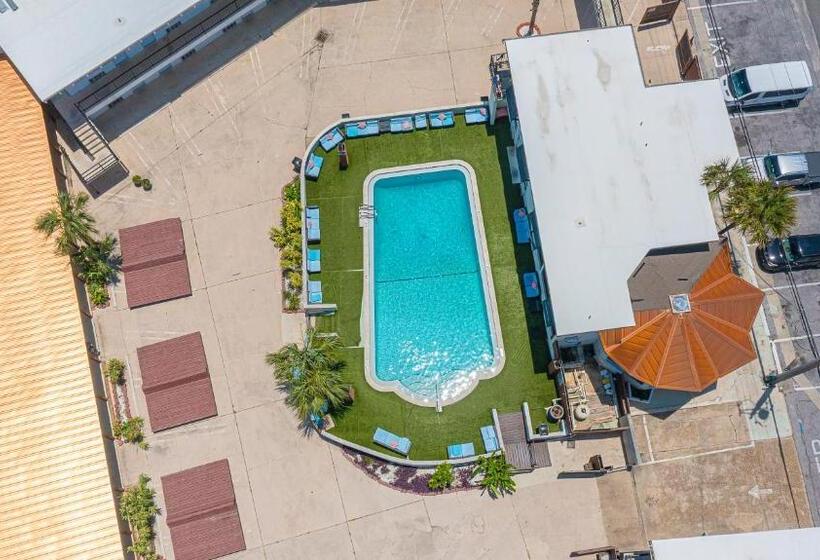 فندق Banana Peel Lodge