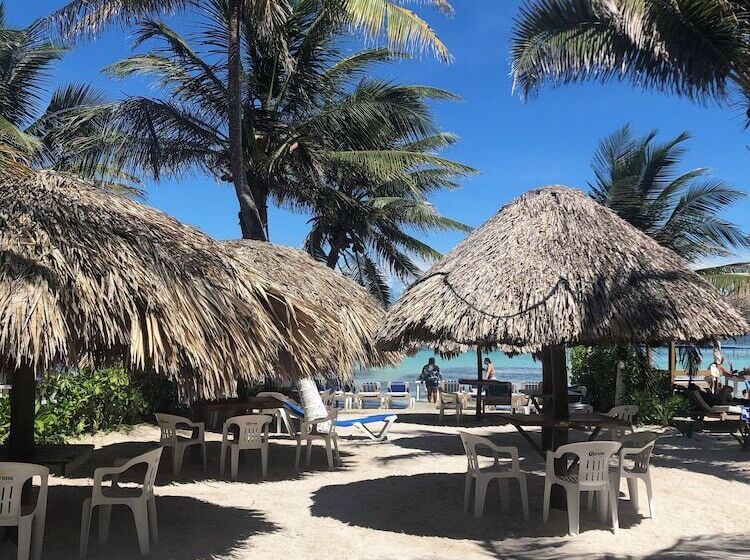 ホテル El Caballo Blanco