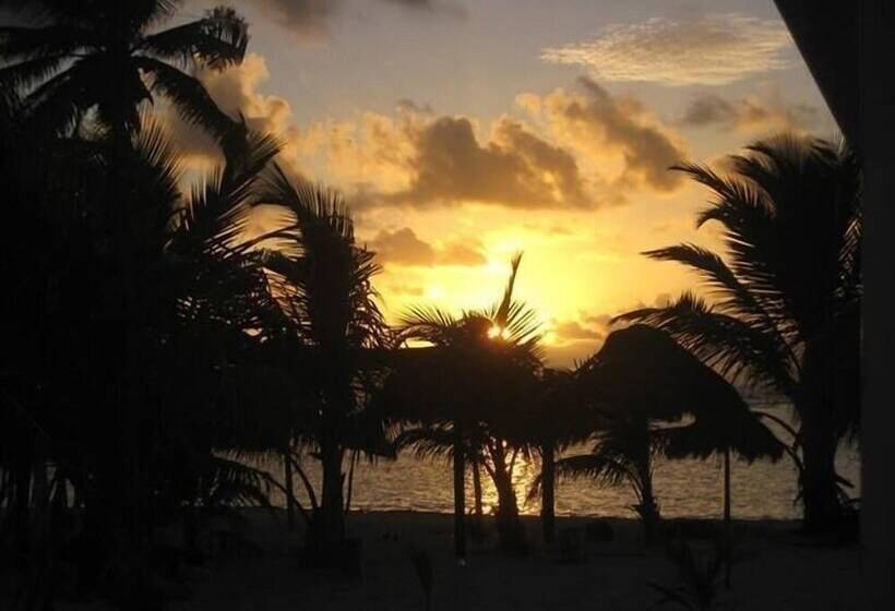 ホテル El Caballo Blanco