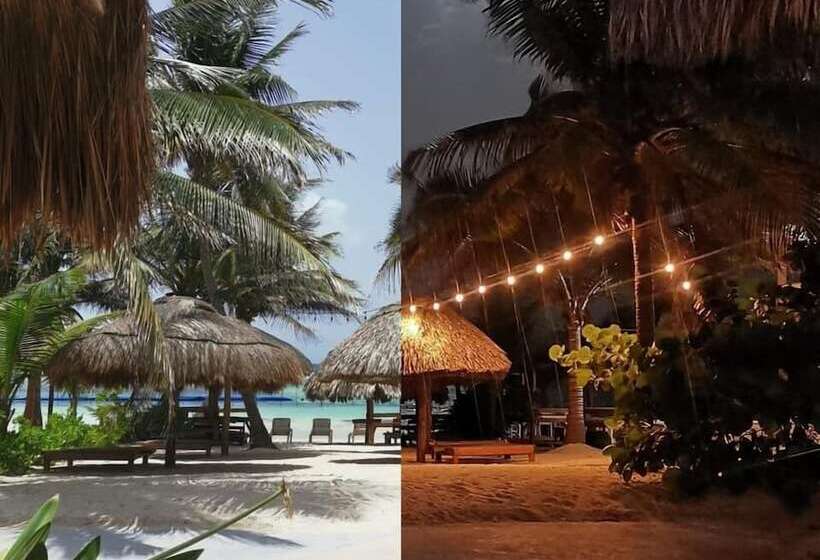 ホテル El Caballo Blanco