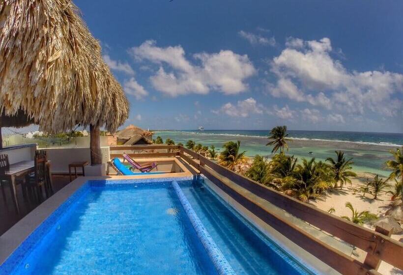 ホテル El Caballo Blanco