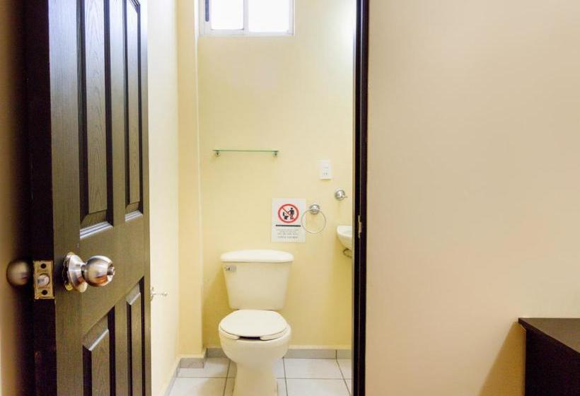 Отель Ecohabit, Monterrey