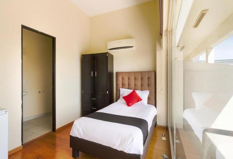 Отель Ecohabit, Monterrey