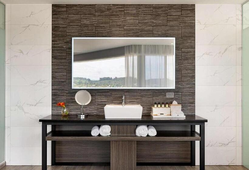 酒店 Pullman Rotorua