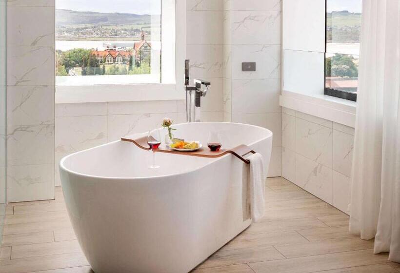 酒店 Pullman Rotorua