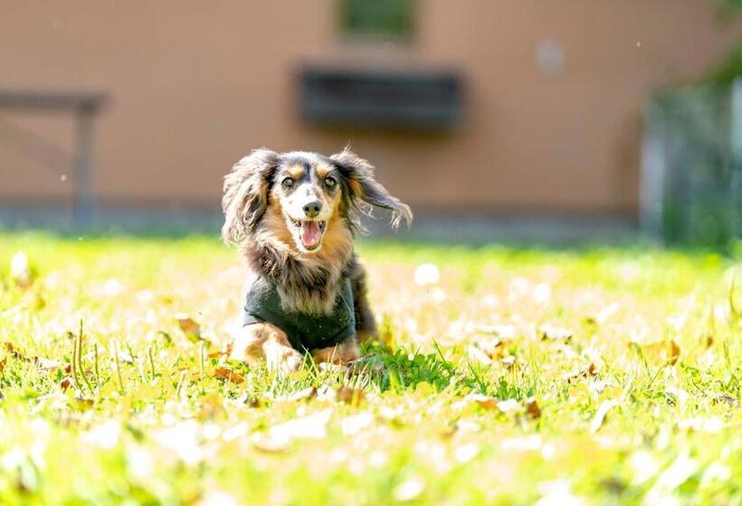 Sora Hotel Karuizawa Outlet