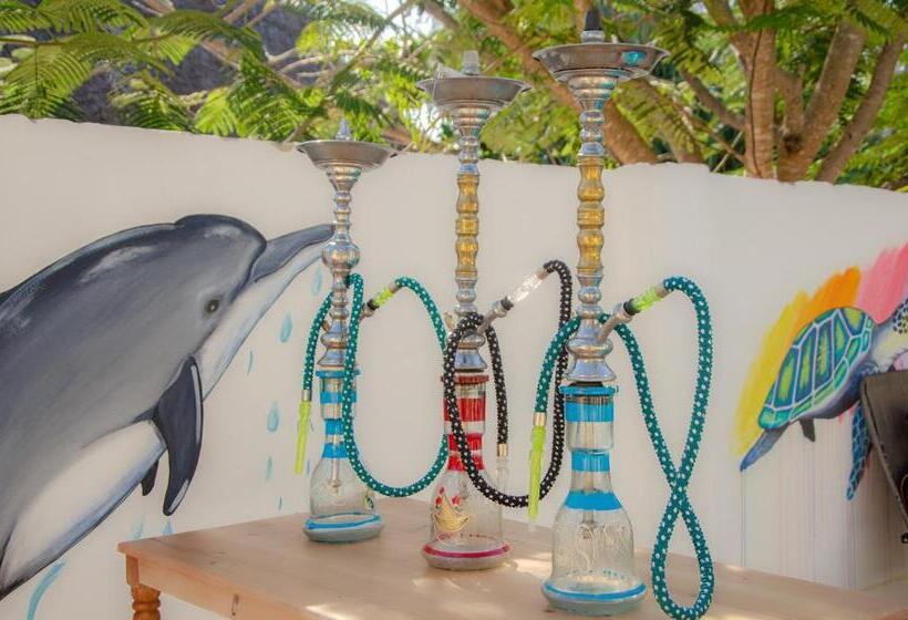 فندق Zanpalm Boutique