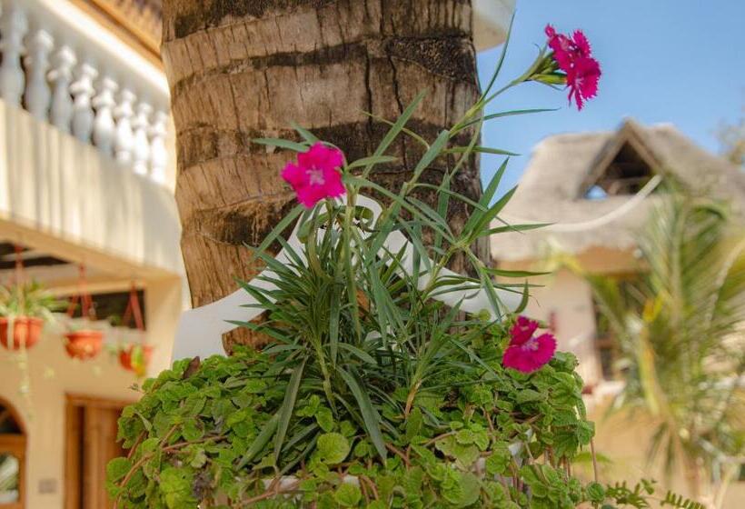 فندق Zanpalm Boutique