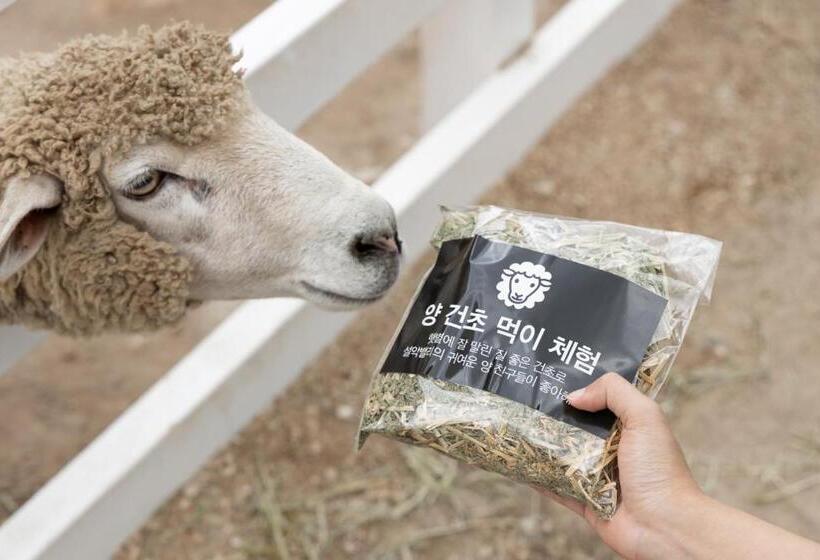 Kensington Resort Seorak Valley