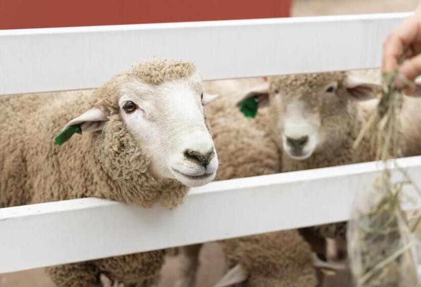 Kensington Resort Seorak Valley