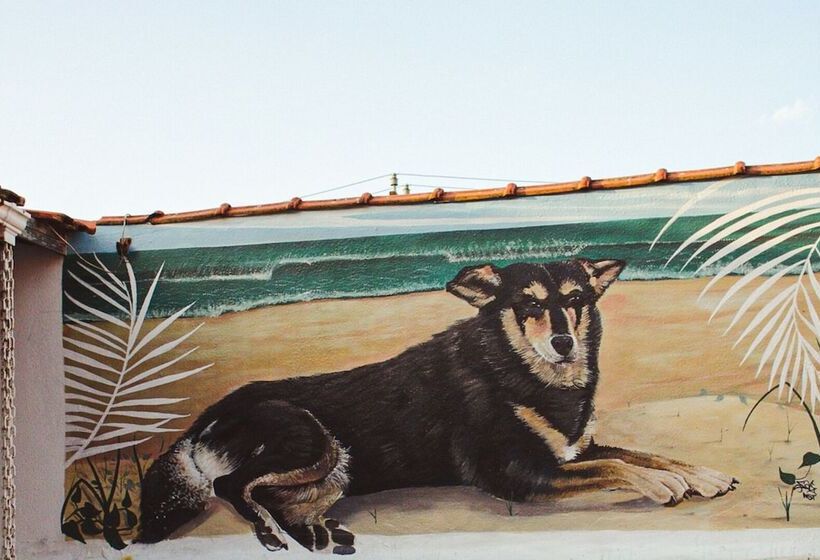 פנסיון Beach Hostel & Suites Los Pibes De Flores