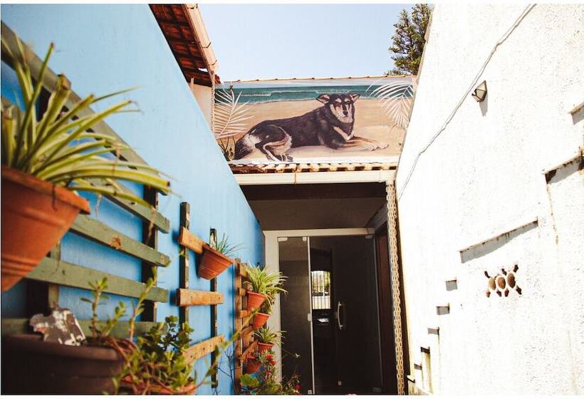 פנסיון Beach Hostel & Suites Los Pibes De Flores