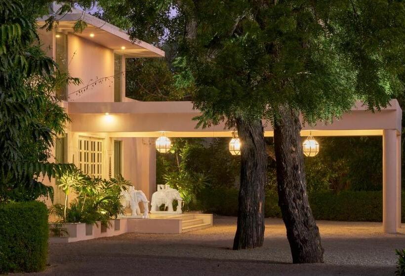 ペンション Rose Amer