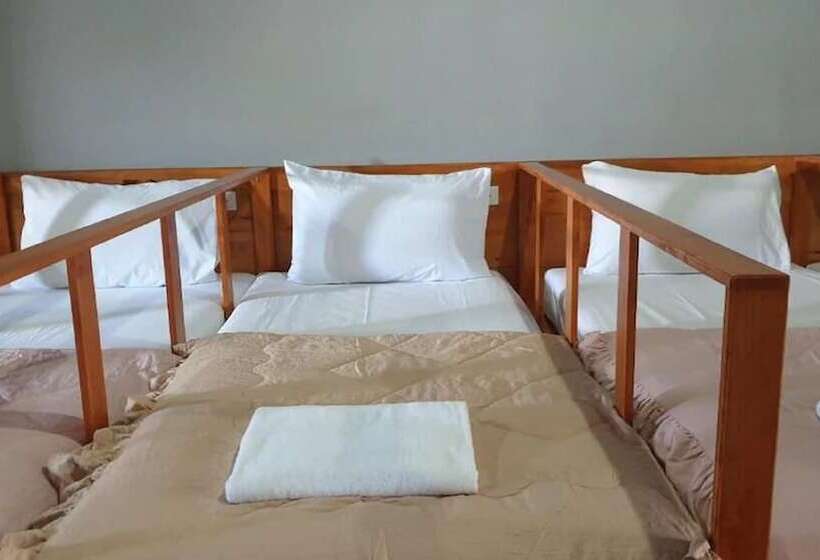 ホテル Aladdin Guesthouse