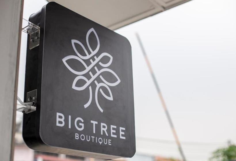 هتل Big Tree Boutique