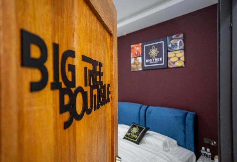 호텔 Big Tree Boutique