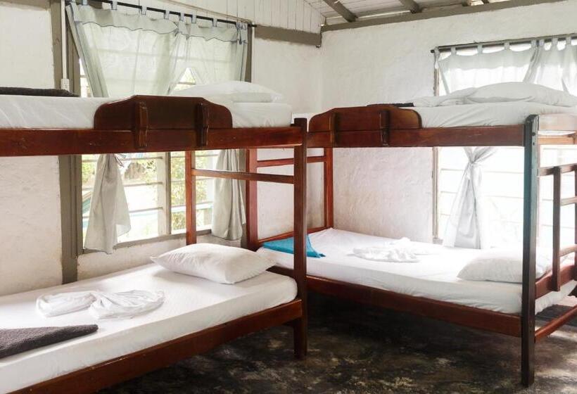 ホテル Cabañas Los Almendros