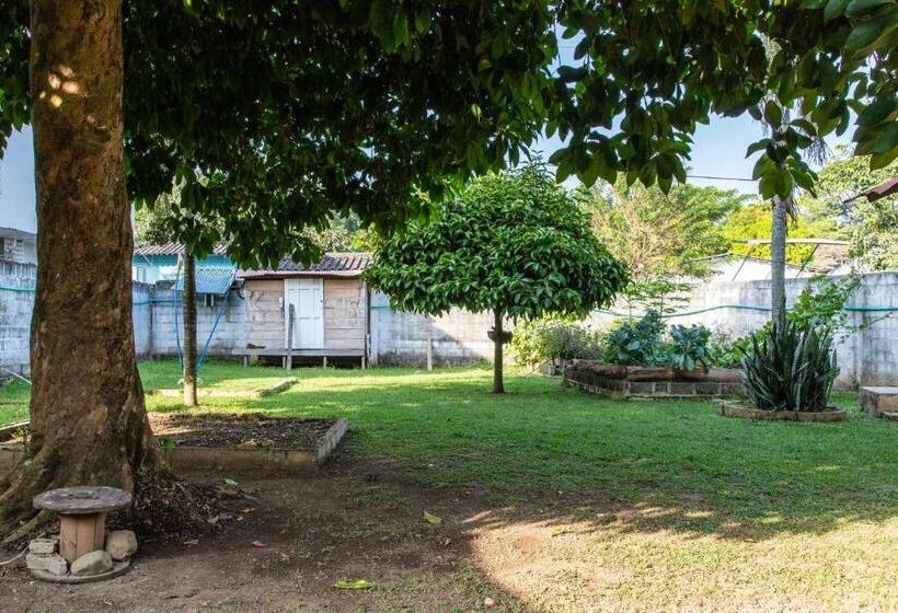 ホテル Cabañas Los Almendros