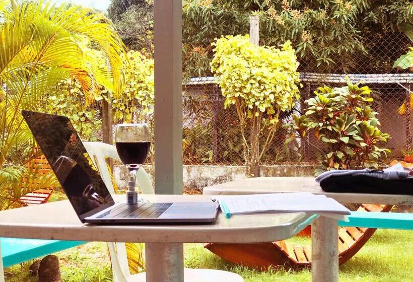 ホテル Cabañas Los Almendros