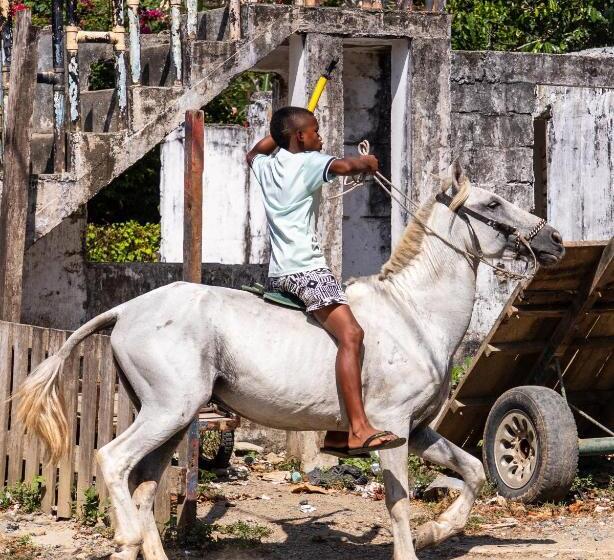 ホテル Cabañas Los Almendros