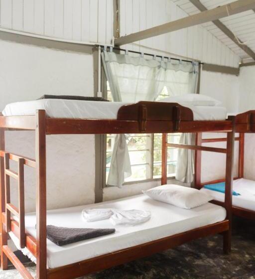 ホテル Cabañas Los Almendros