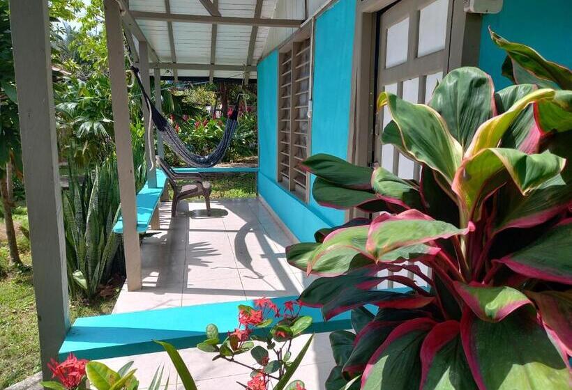 ホテル Cabañas Los Almendros