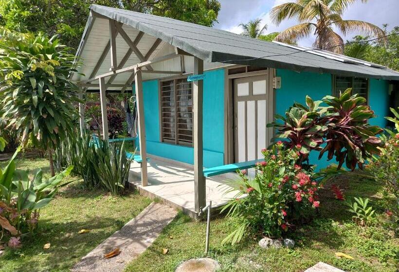 هتل Cabañas Los Almendros