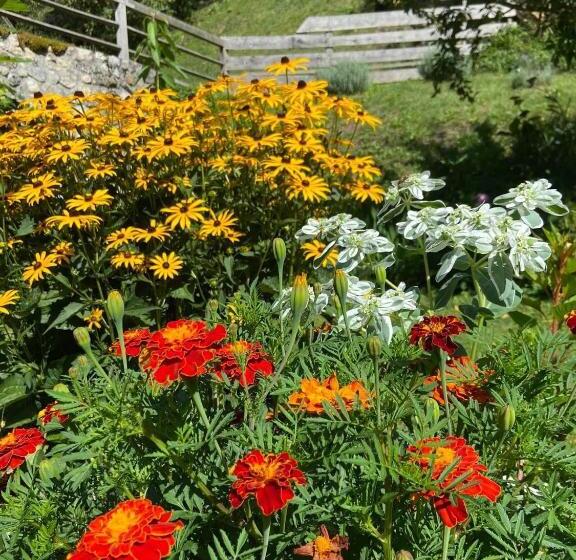 هتل Turistična Kmetija čerček