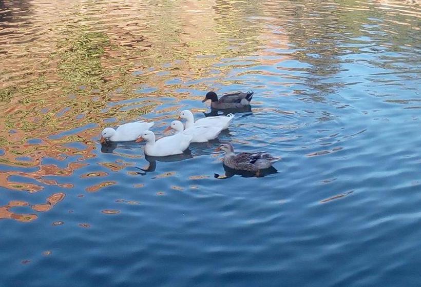 بنسيون Aurocher Marrakech Ourika Oukaimeden