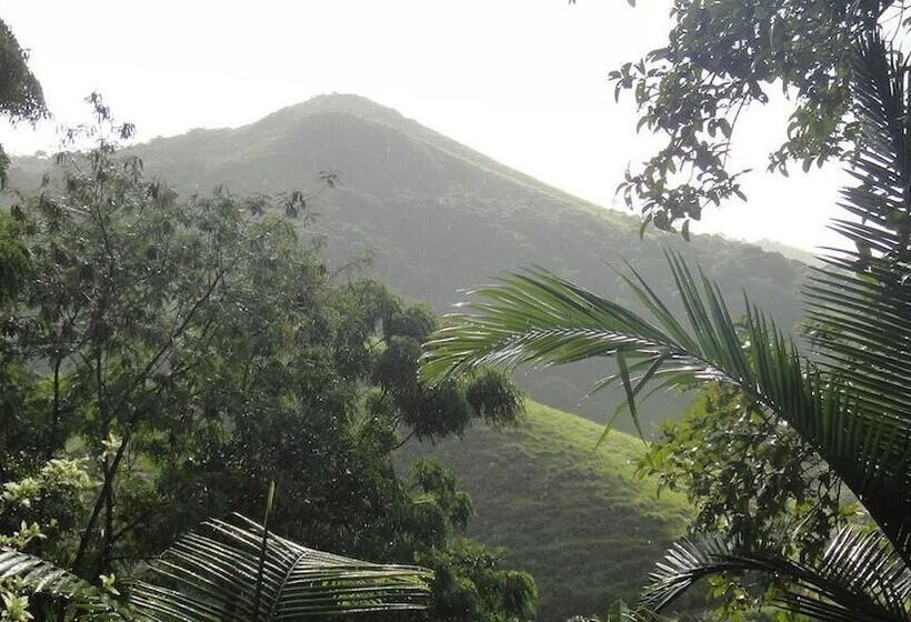 Пансион Petar Pousada Núcleo Terra Iporanga