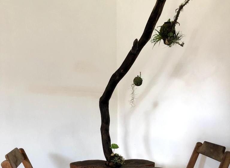 ペンション Pousada Atelier Aly Da Costa