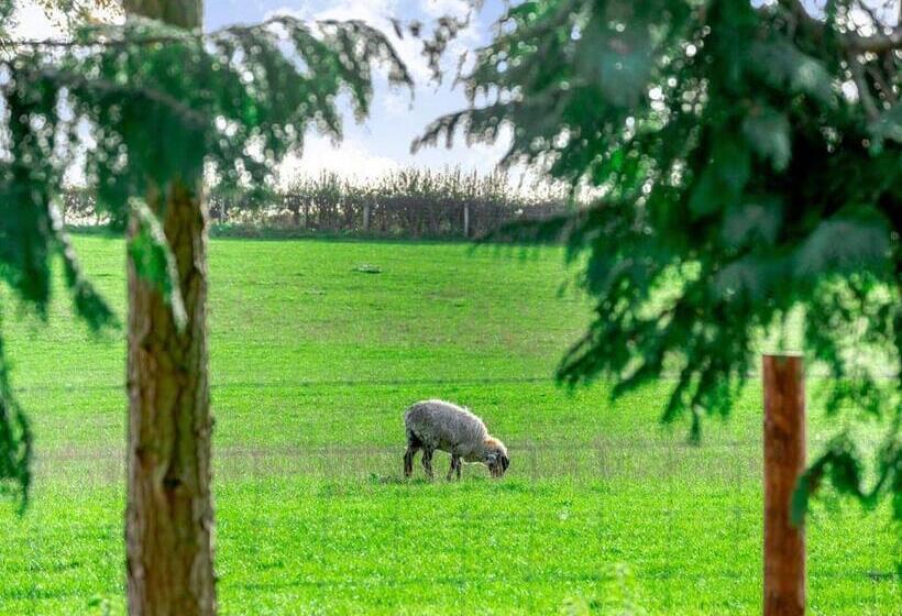 Курорт Cedar Retreats