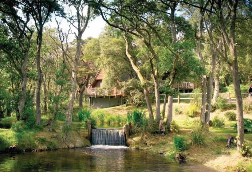 استراحتگاه Delny Highland Lodges