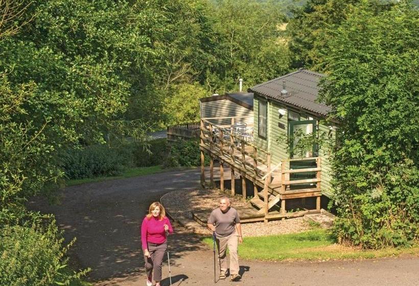 渡假胜地  Wigley Orchard