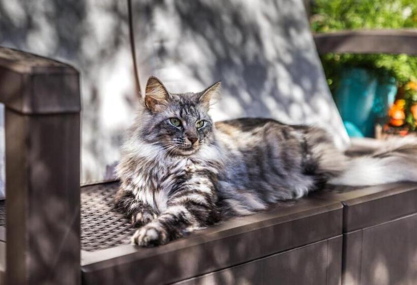 Antico Borgo B&b Con Spa   Adults Only